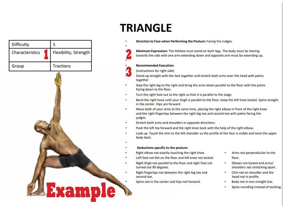 TriangleExample copy – USA Yoga Federation